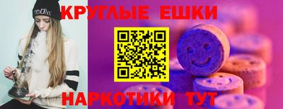 мяу мяу мука Гай
