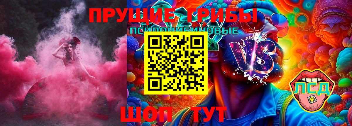 Галлюциногенные грибы GOLDEN TEACHER Прокопьевск