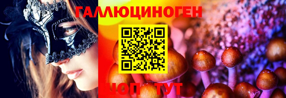 Прокопьевск  Псилоцибиновые грибы Magic Shrooms  Вход с VPN  Галлюциногенные грибы Psilocybine cubensis 